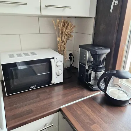 Golden Apartment- Parking, Wifi And Sauna *