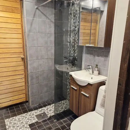 Golden Apartment- Parking, Wifi And Sauna Apartment