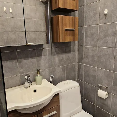Golden Apartment- Parking, Wifi And Sauna Apartment Raisio