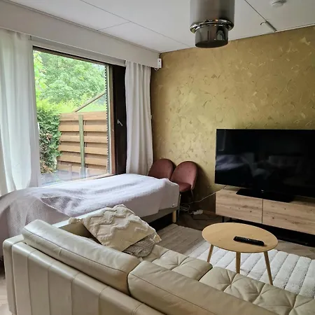 Golden Apartment- Parking, Wifi And Sauna