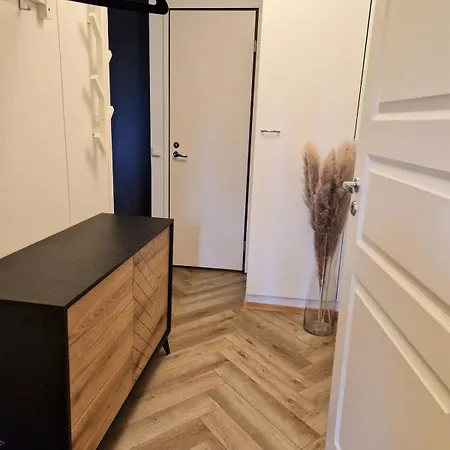 Golden Apartment- Parking, Wifi And Sauna Raisio