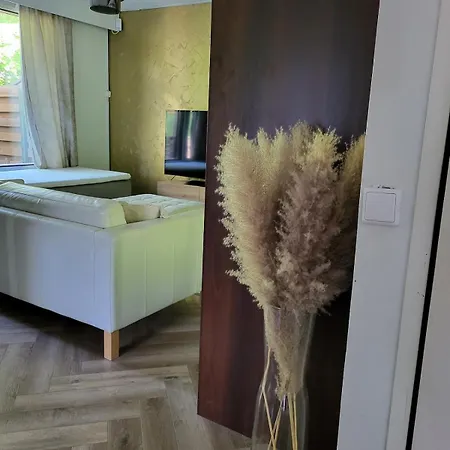 Golden Apartment- Parking, Wifi And Sauna Apartment *